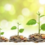 Harvest Year Round – Pegasus Agriculture’s Hydroponic Veggies to Lead MENA Markets